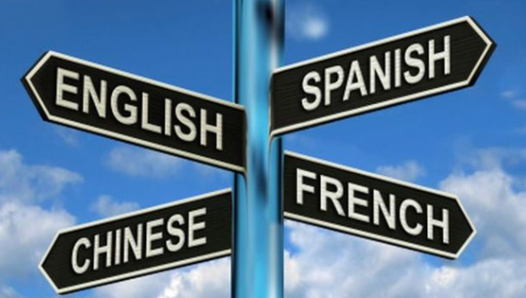 7 Steps to Learning a Language