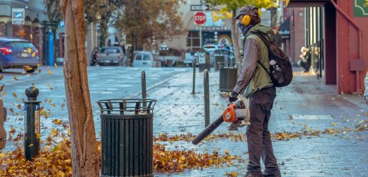 An Ultimate Guide To Picking The Best Cordless Leaf Blower!