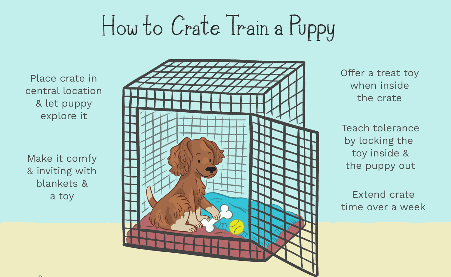 Crate Training Your New Puppy