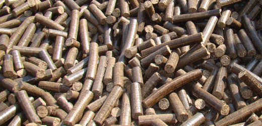 Embracing Eco-Friendly Living: How to Incorporate Briquettes into Your Sustainable Lifestyle
